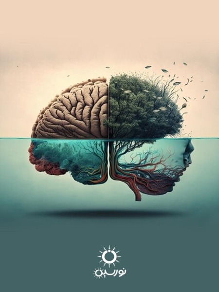 دموی ورود به سایت نورسین