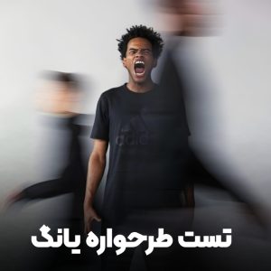 تست طرحواره یانگ