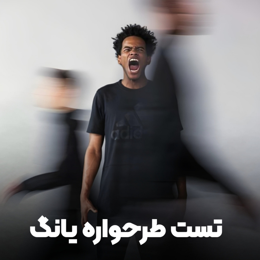 تست طرحواره یانگ