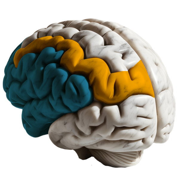 تست روانشناسی با نورسین