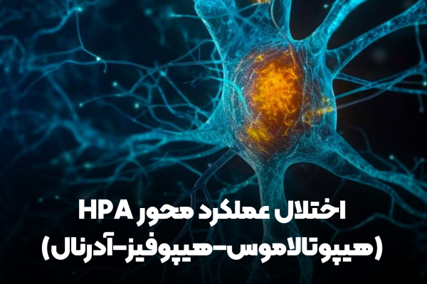 ۳. اختلال عملکرد محور HPA (هیپوتالاموس–هیپوفیز–آدرنال)
